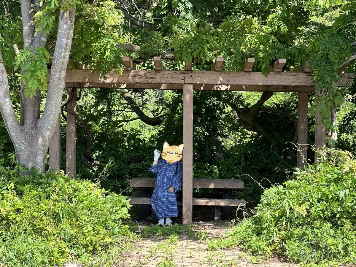 包帯を見せびらかすショット