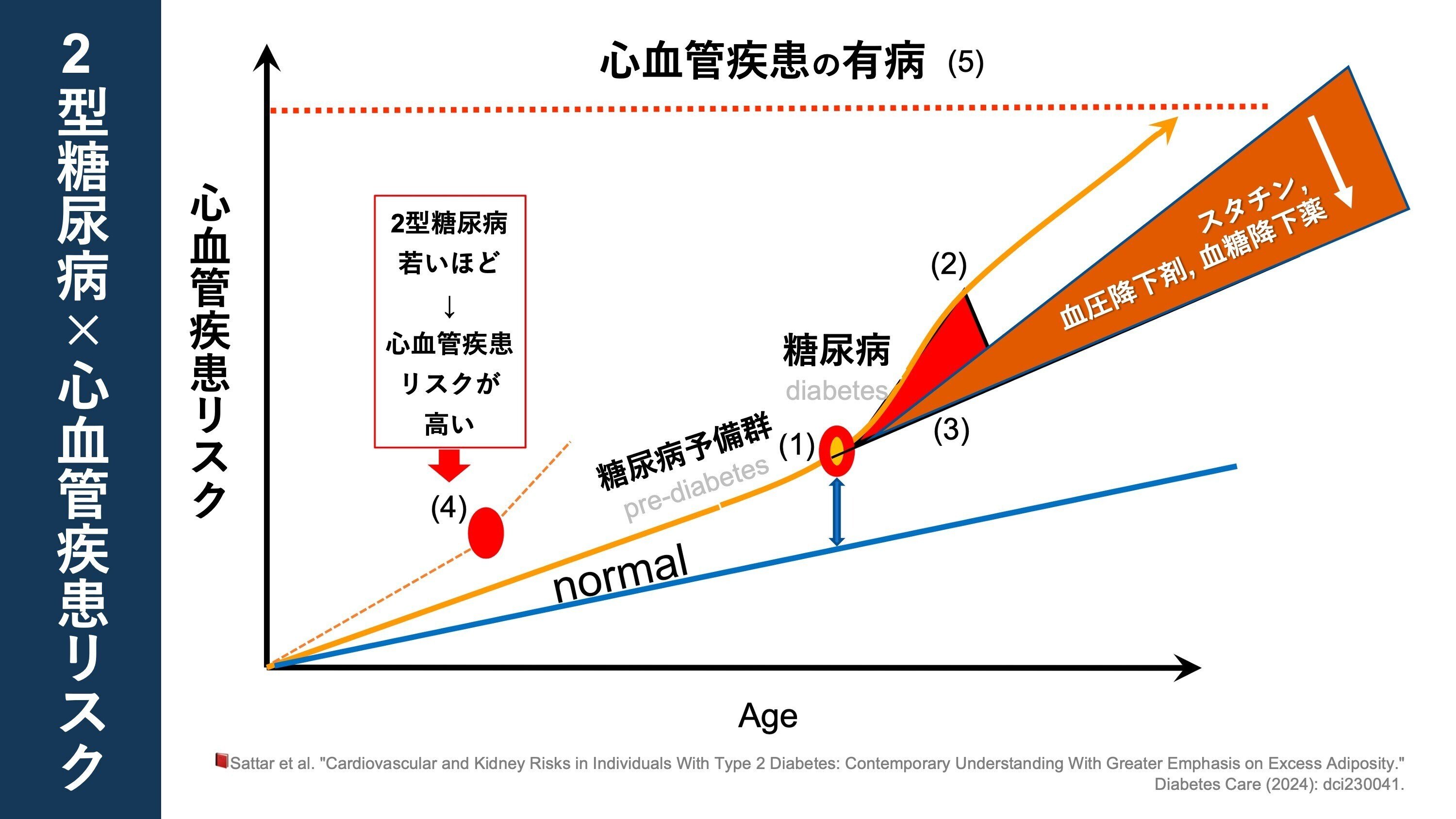 2型糖尿病 × 心血管疾患リスク｜Super Human | 理学療法士／保健