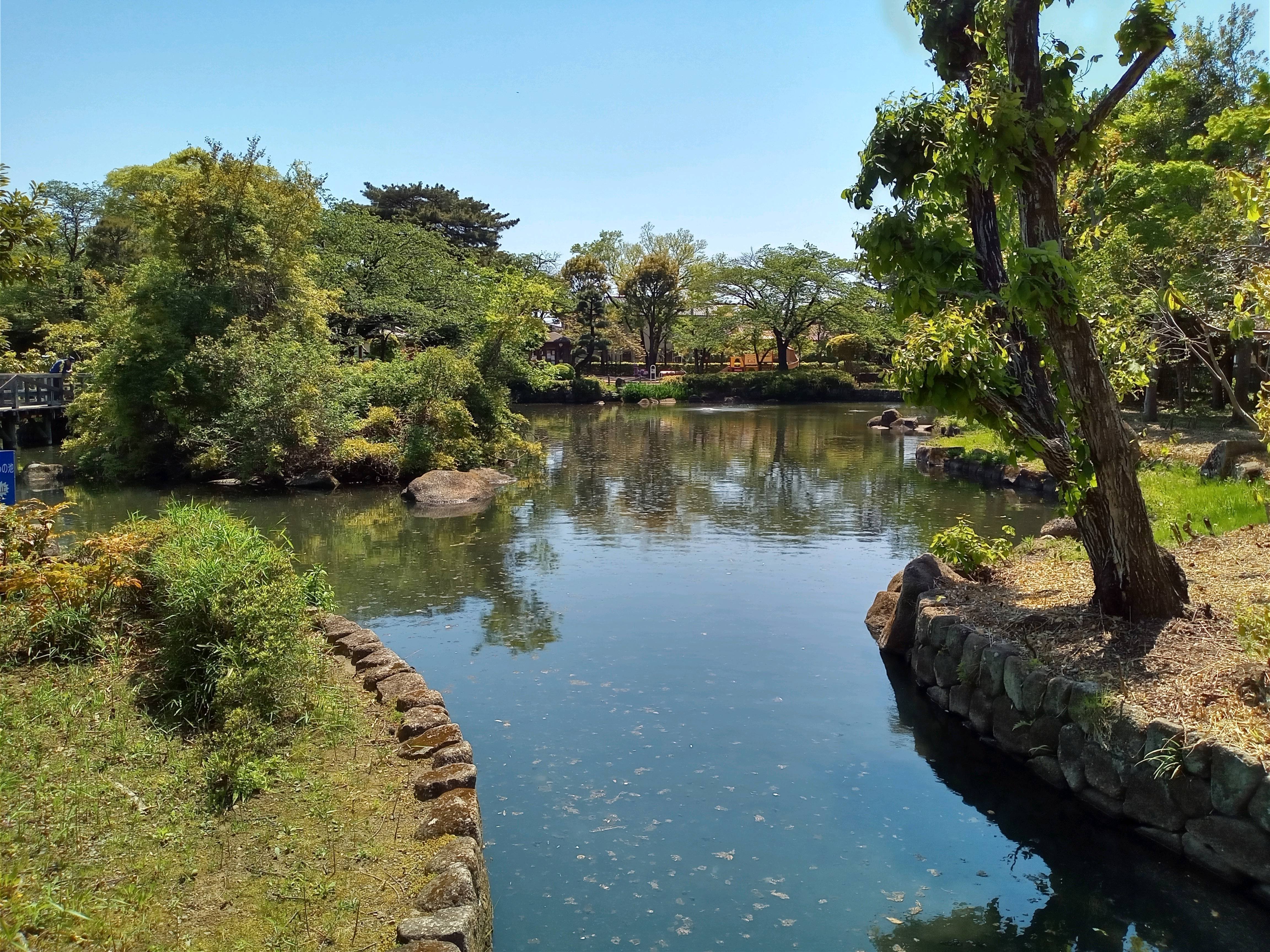 2024年4月28日 瑞穂町その4 狭山池公園その3｜siouxcitizen