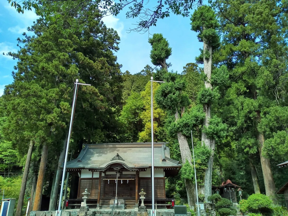 画像