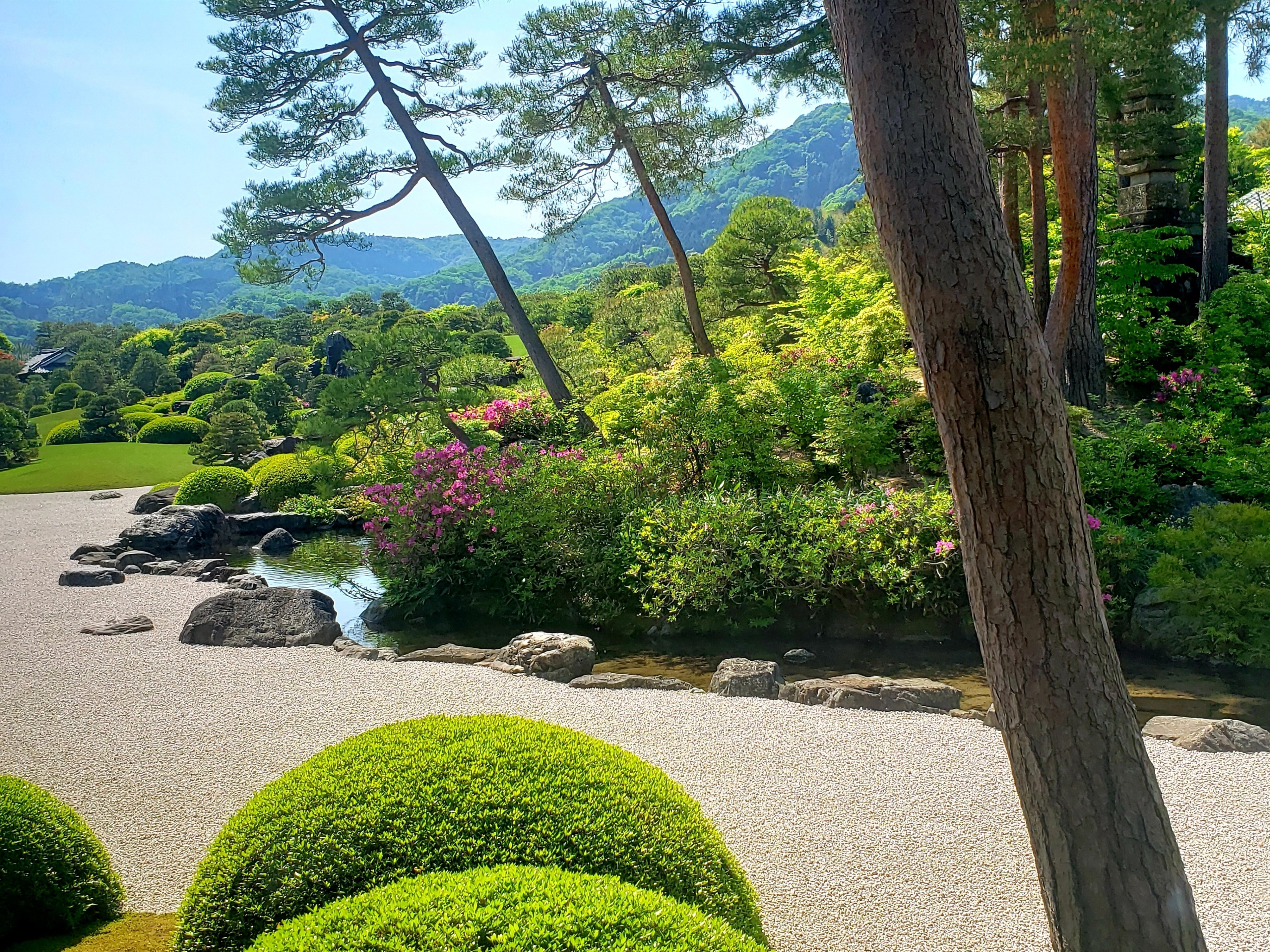 世界が認めた日本一の庭園【足立美術館庭園】｜ひばりん