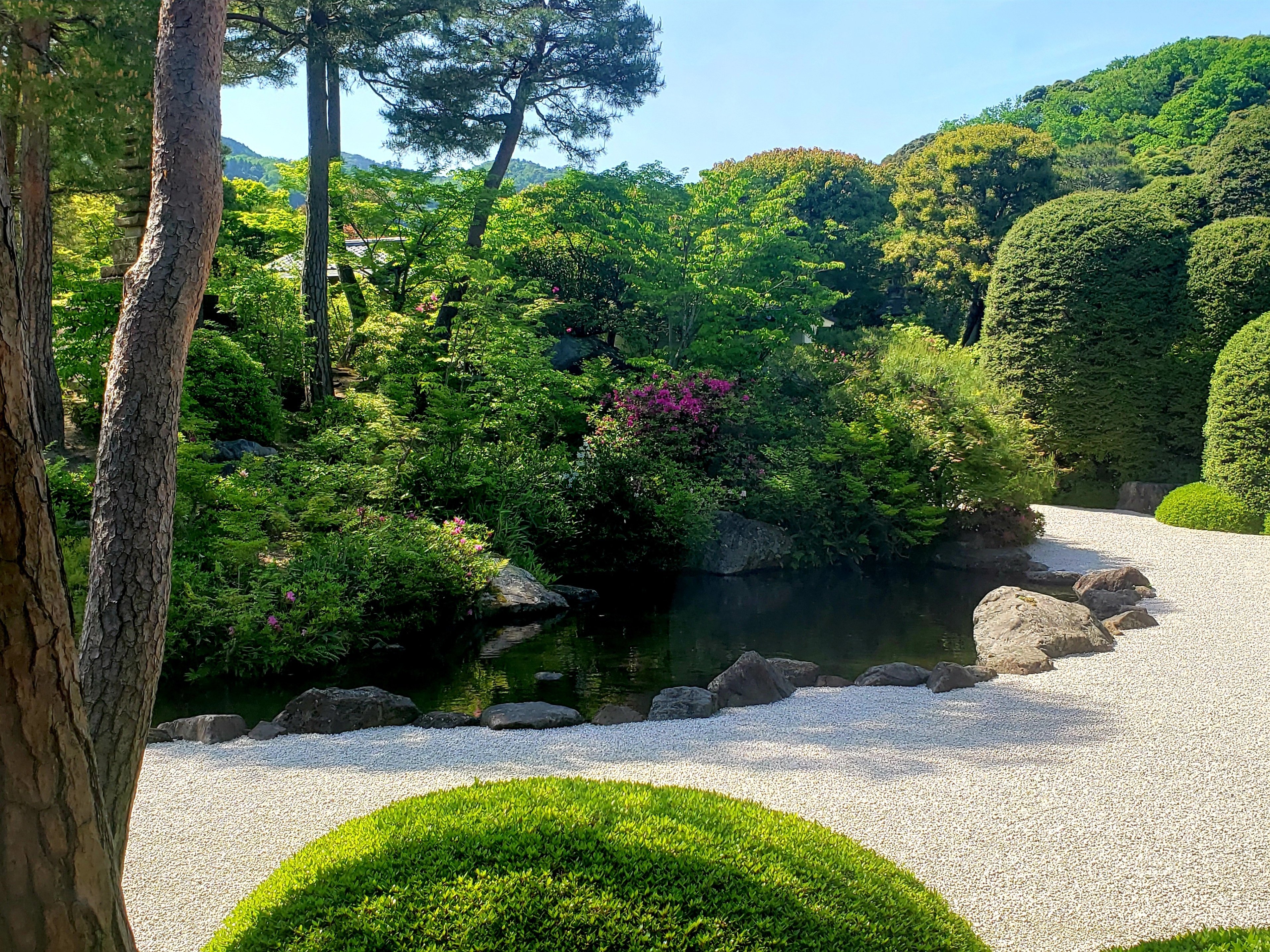 世界が認めた日本一の庭園【足立美術館庭園】｜ひばりん