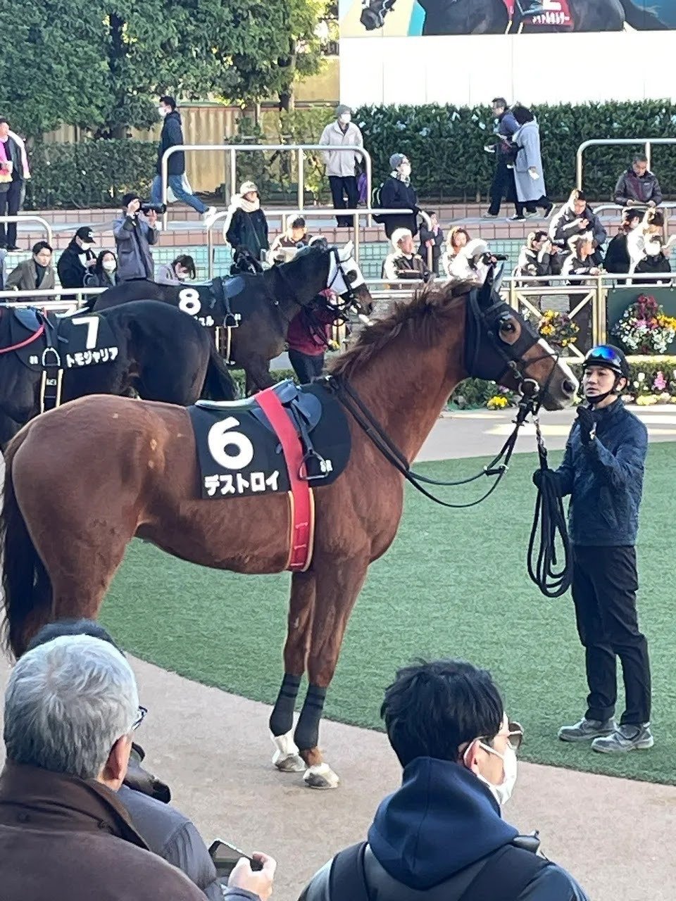 努力の競走馬 〜パンサラッサの引退式〜｜池本ノエ