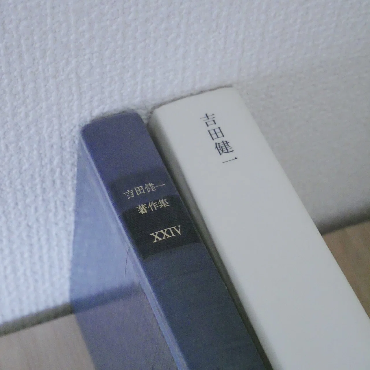 読書『言葉というもの』『文学の楽しみ』｜phrase of wonder