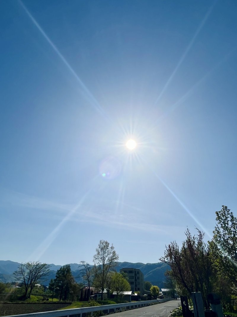 本日5/5は、立夏。太陽がものすごく強い。