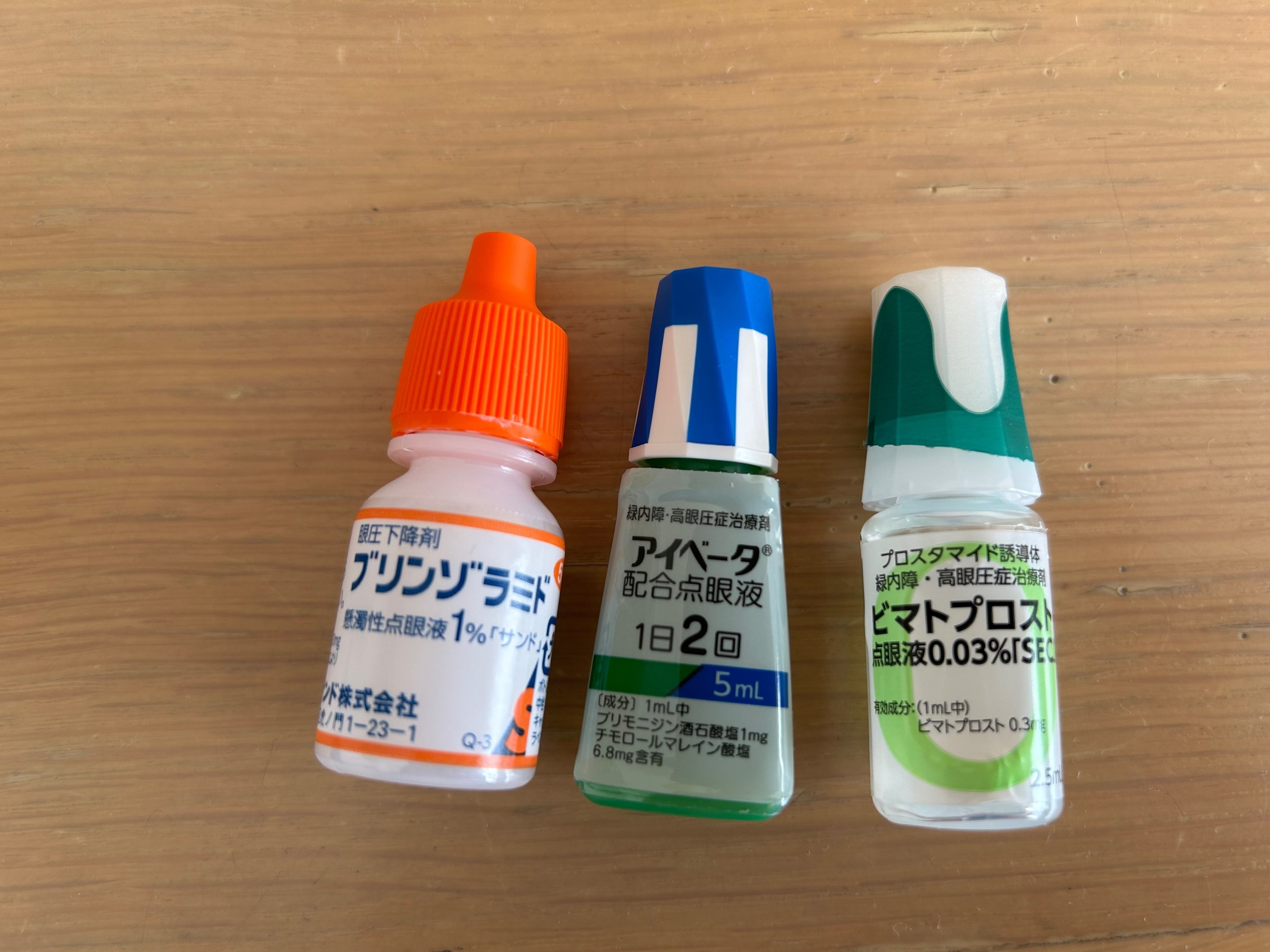 眼科学大系　第3巻　緑内障・眼薬療法 眼科学 第3版 | 大鹿哲郎, 園田康平, 近藤峰生, 稲谷 大 |本