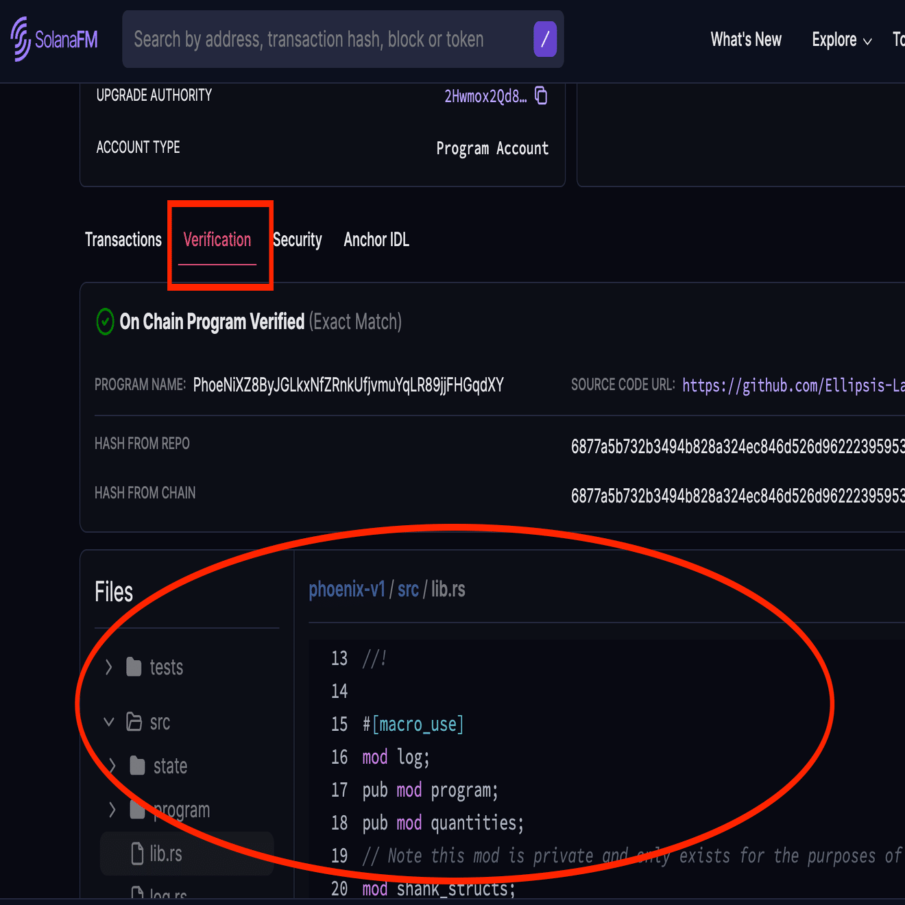 Solanaコアコンセプト④】 プログラム｜ユウキ