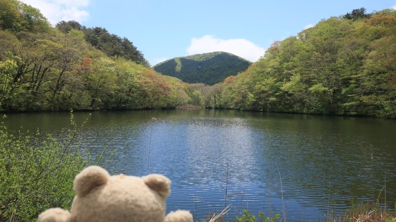 佐渡ヶ島【坪山ため池】(酷道) ダートのジャングル、草ボーボー凸凹。【ハイドラCP巡り】 佐渡ヶ島【坪山ため池】(酷道) ダートのジャングル、草ボーボー凸凹。【ハイドラCP巡り】