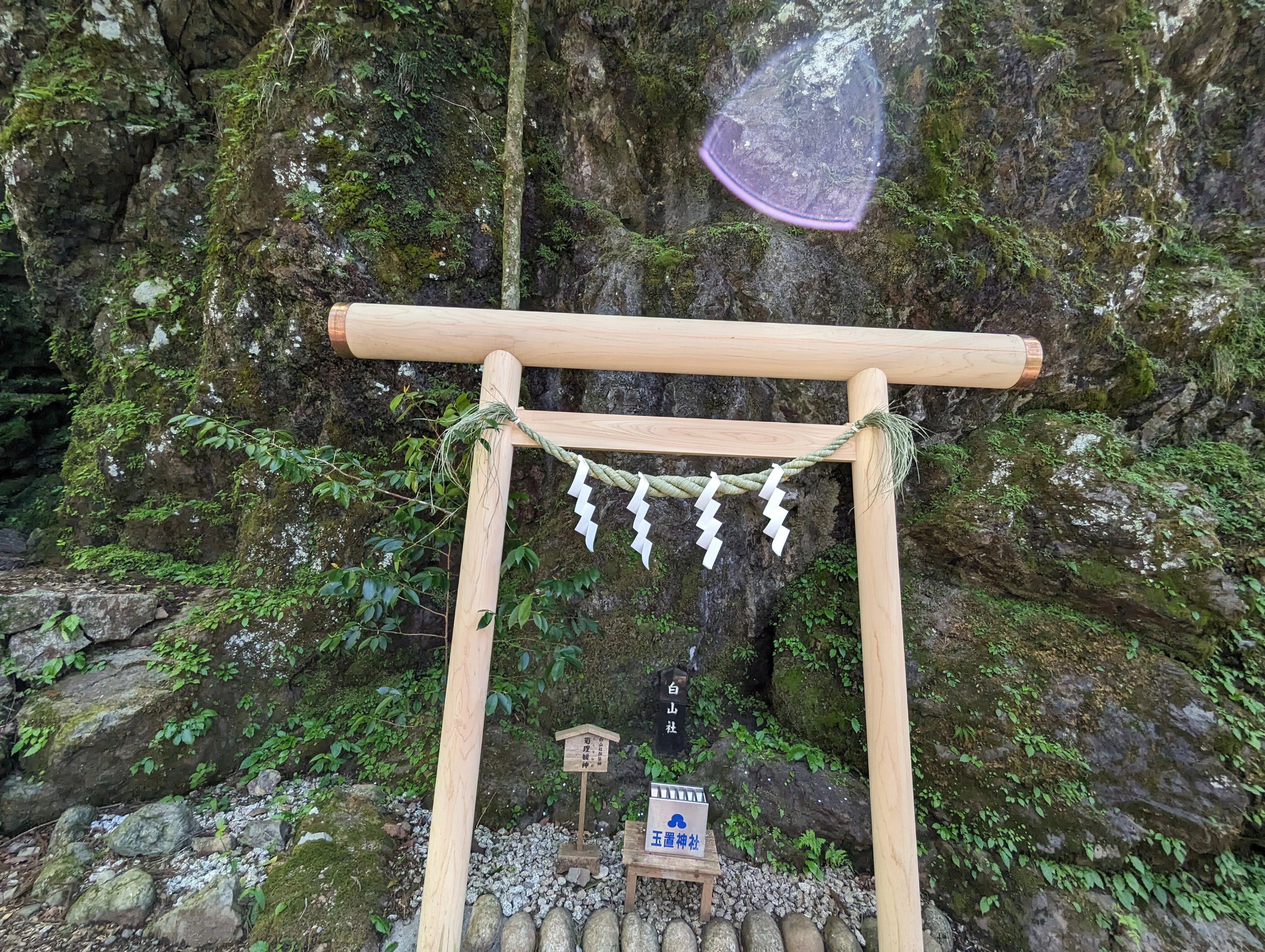 熊野滞在日記③～シャクナゲ満開の玉置神社｜さりー