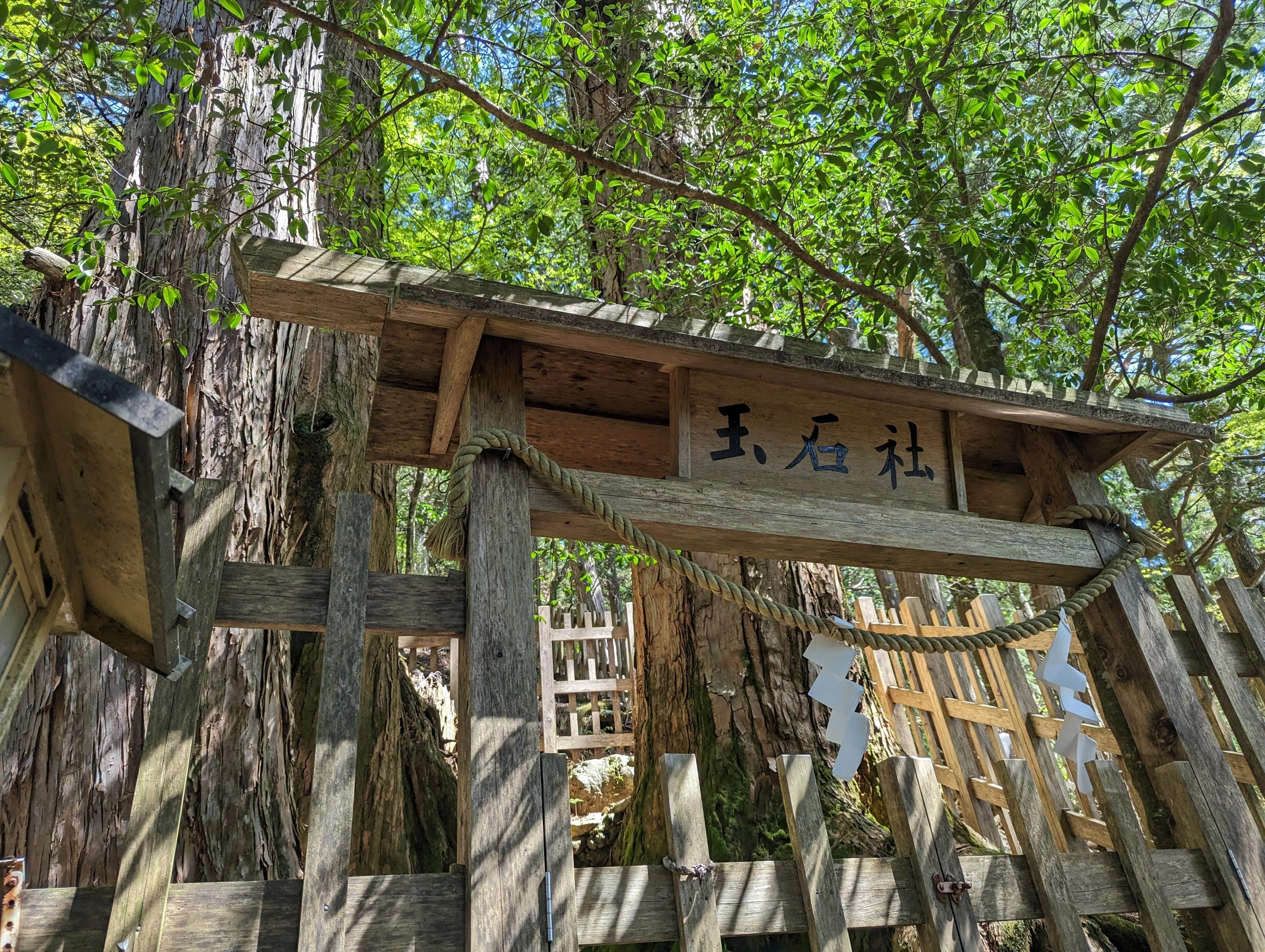 熊野滞在日記③～シャクナゲ満開の玉置神社｜さりー