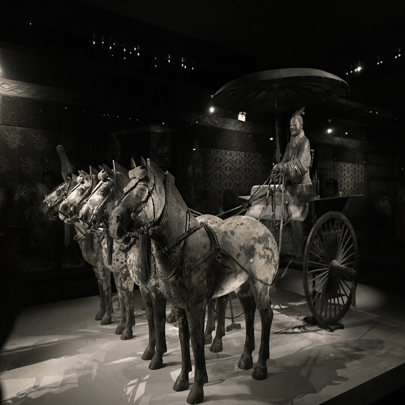 DAY NINE / 始皇帝の兵馬俑 #019｜田路昌也（TJ)