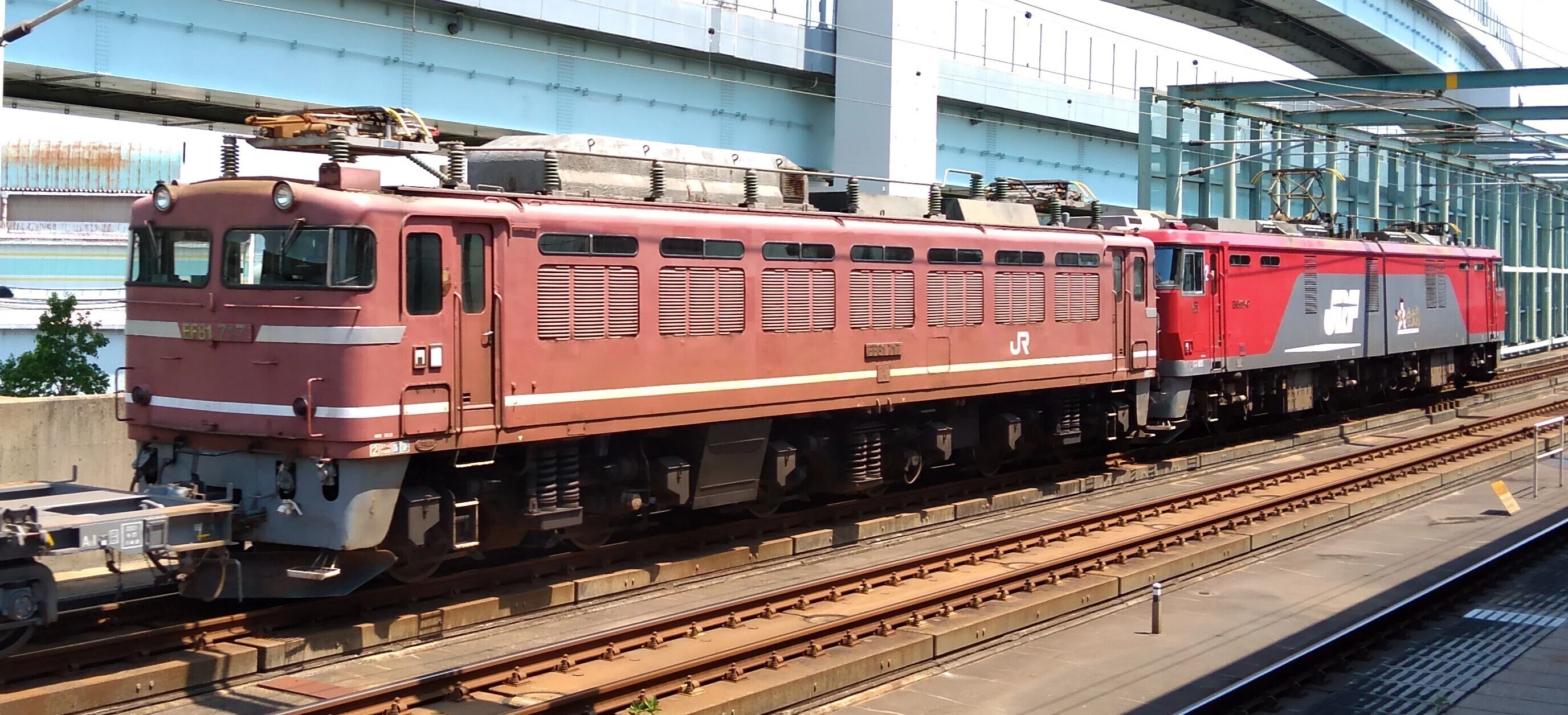 門司機関区のEF81｜AKC_nt3