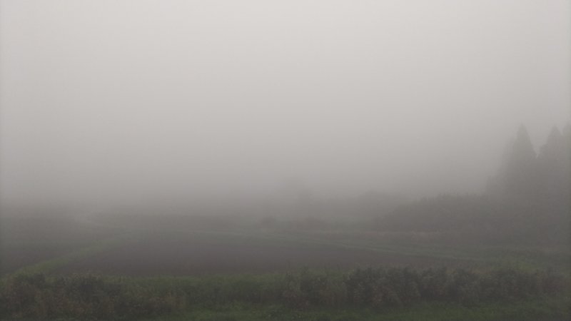 5/1 5月始まりの空は昨日よりも濃い霧。見えん。