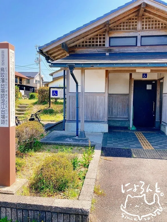 ちっちゃいウニ殻がいっぱいにネジガイも!米子市淀江漁港・北(妻木川南側)でビーチコーミング!|ny0l0n
