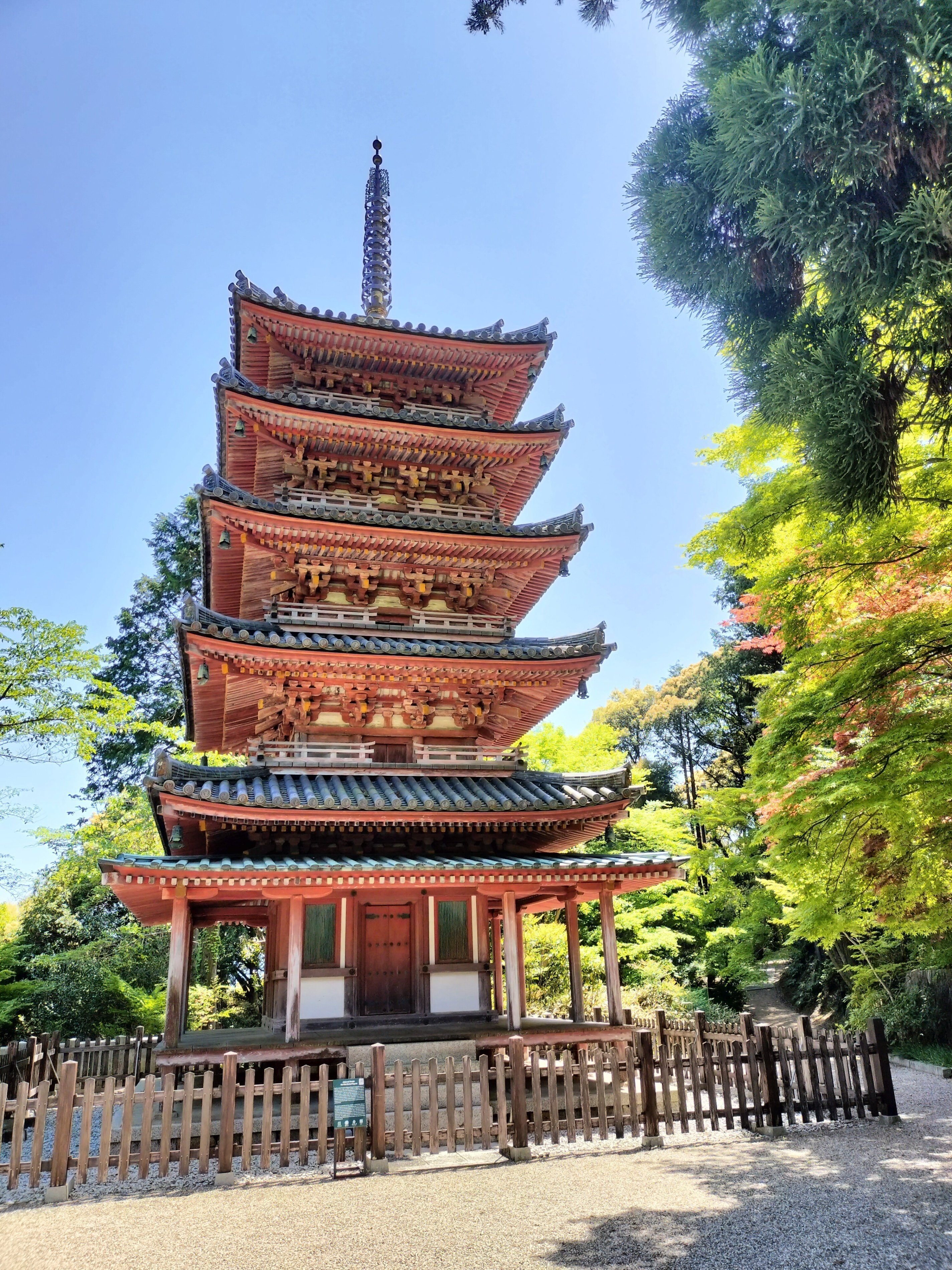 京都・南山城古寺巡礼レポート｜サンガ