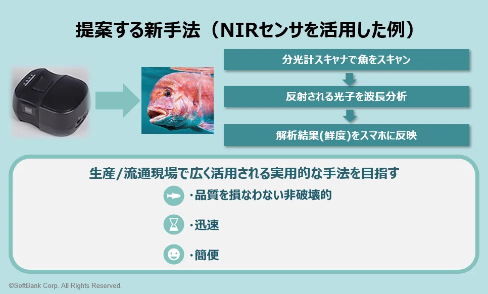 日本の水産業を元気に！新たな品質指標を確立し、魚の鮮度・うまみの