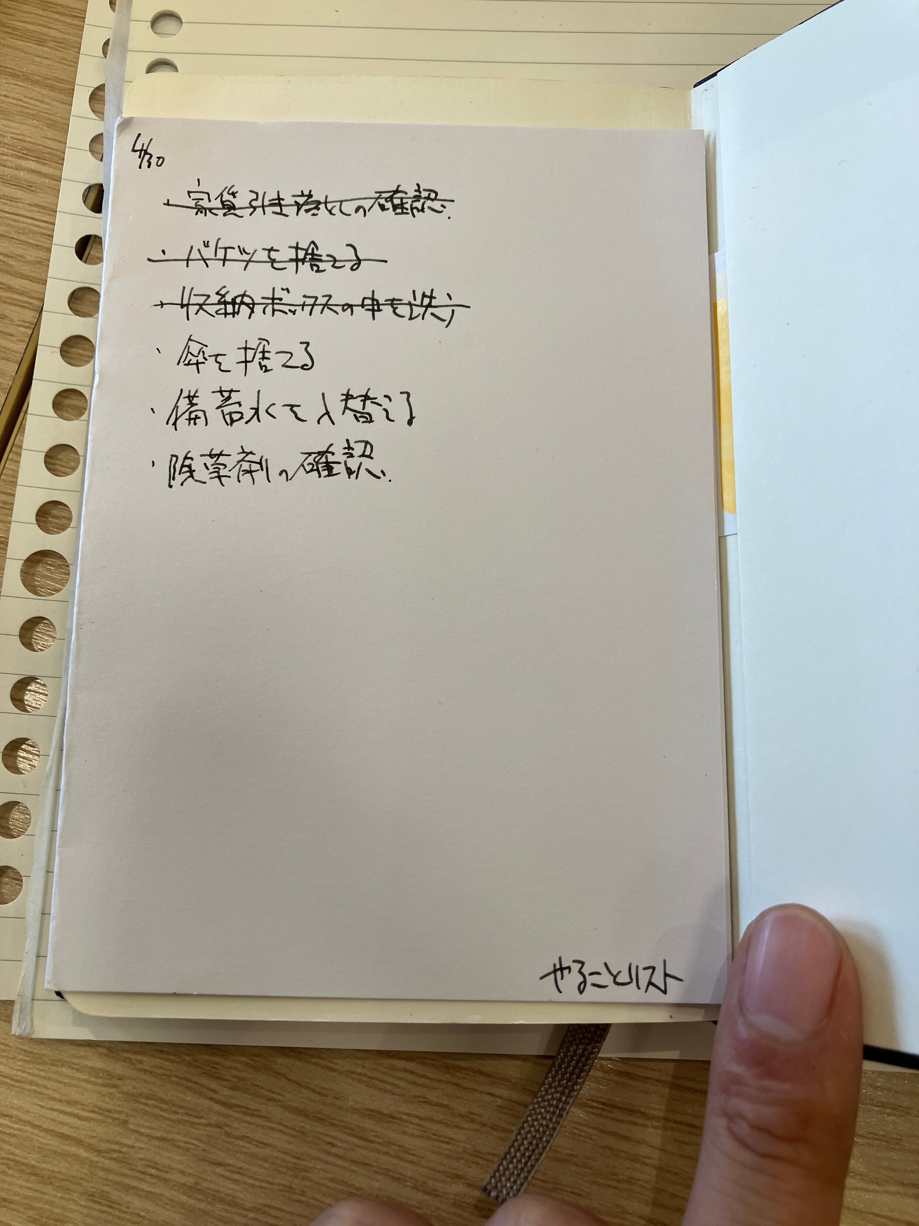 定時正大ページ <情熱> 草書 季刊誌 ハイローヤー2024年秋号_25CBZZ8052 | 辰已法律研究所