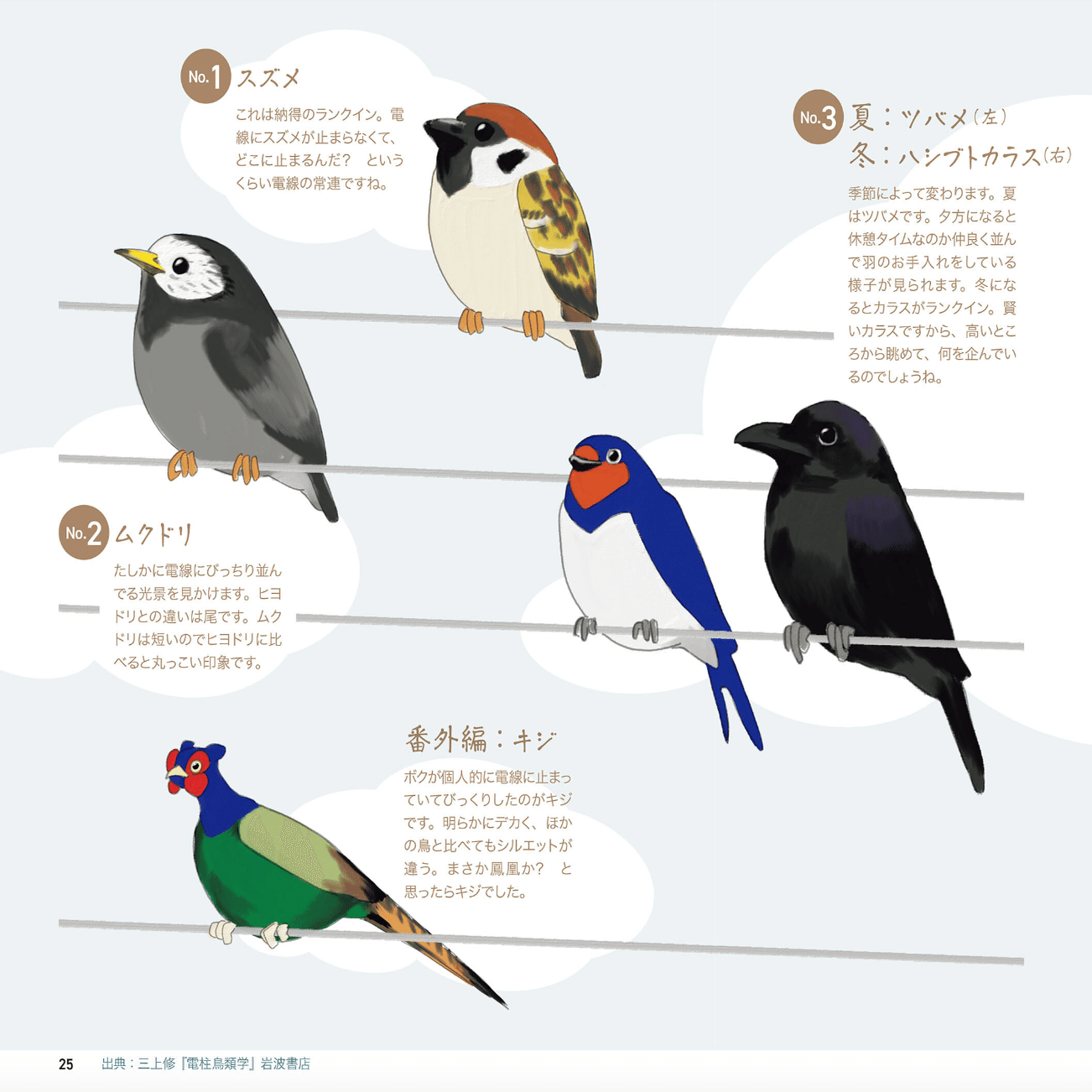 身近な鳥の「へぇ〜」がいっぱい！ 『エナガの重さはワンコイン 身近な