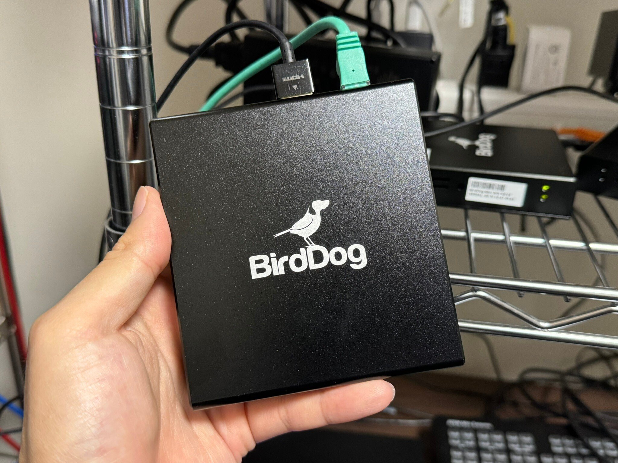 NDI対応スイッチングハブと安価なスイッチングハブ、どの程度違うのか