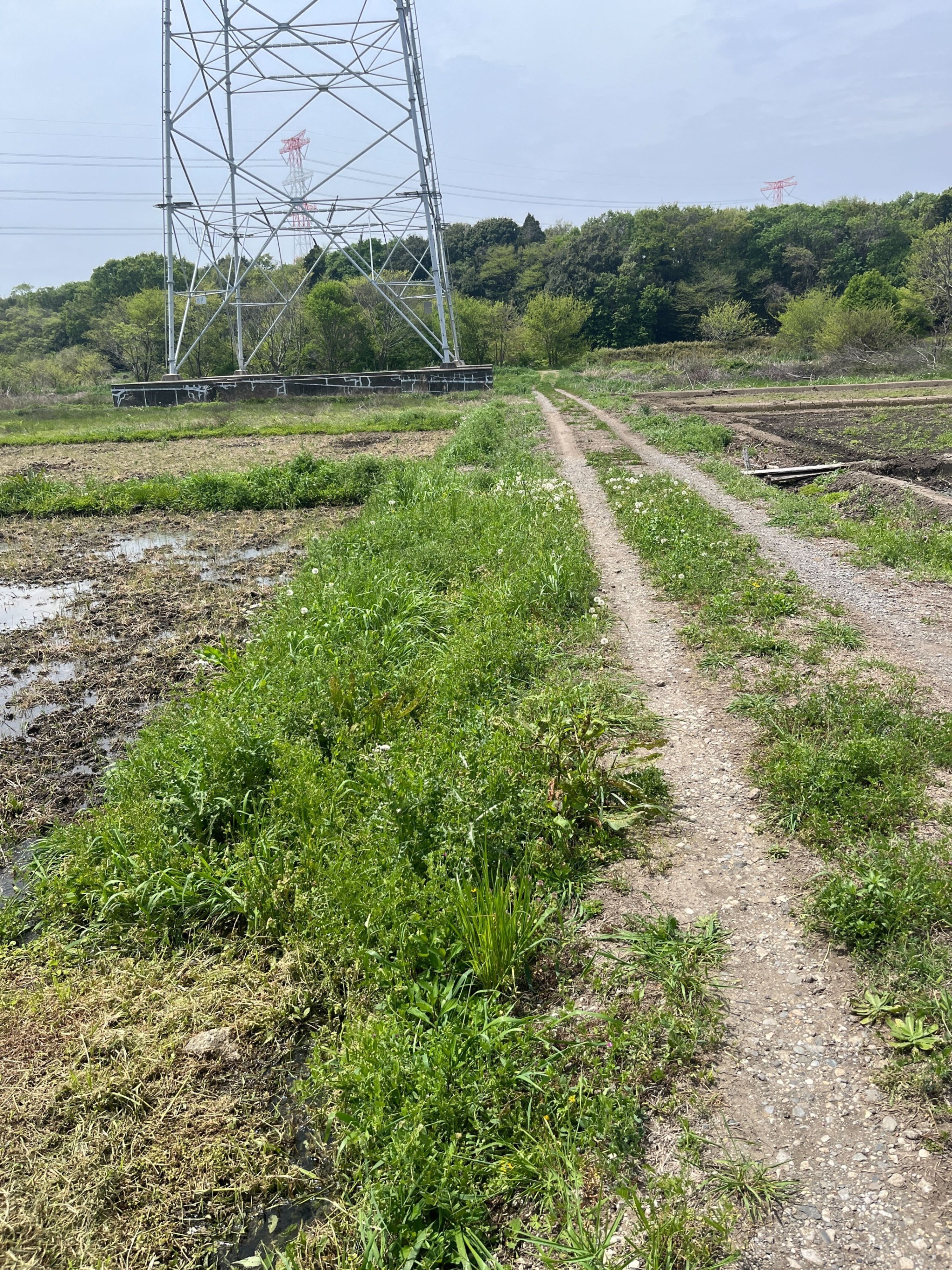 田んぼの1年〜おこめづくりで生まれるコミュニティ｜omusubi不動産
