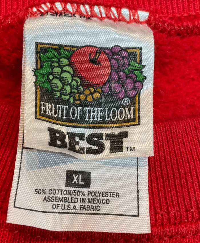 古着 90s フルーツオブザルーム ベストmisisippi Tシャツ 90\u0027sフルーツオブザルーム ヴィンテージ Tシャツ（L） FRUIT OF THE