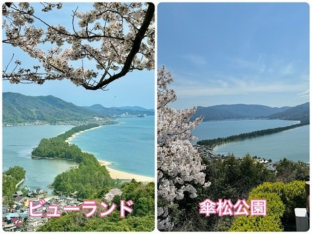 日本三景「天橋立」の絶景を3つの丸見えスポットから楽しむ！｜戸川みゆき