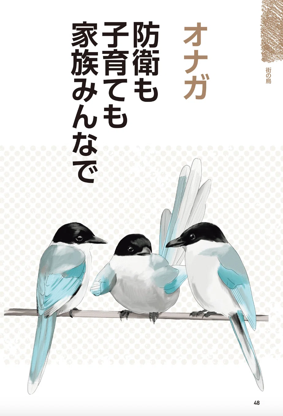 身近な鳥の「へぇ〜」がいっぱい！ 『エナガの重さはワンコイン 身近な