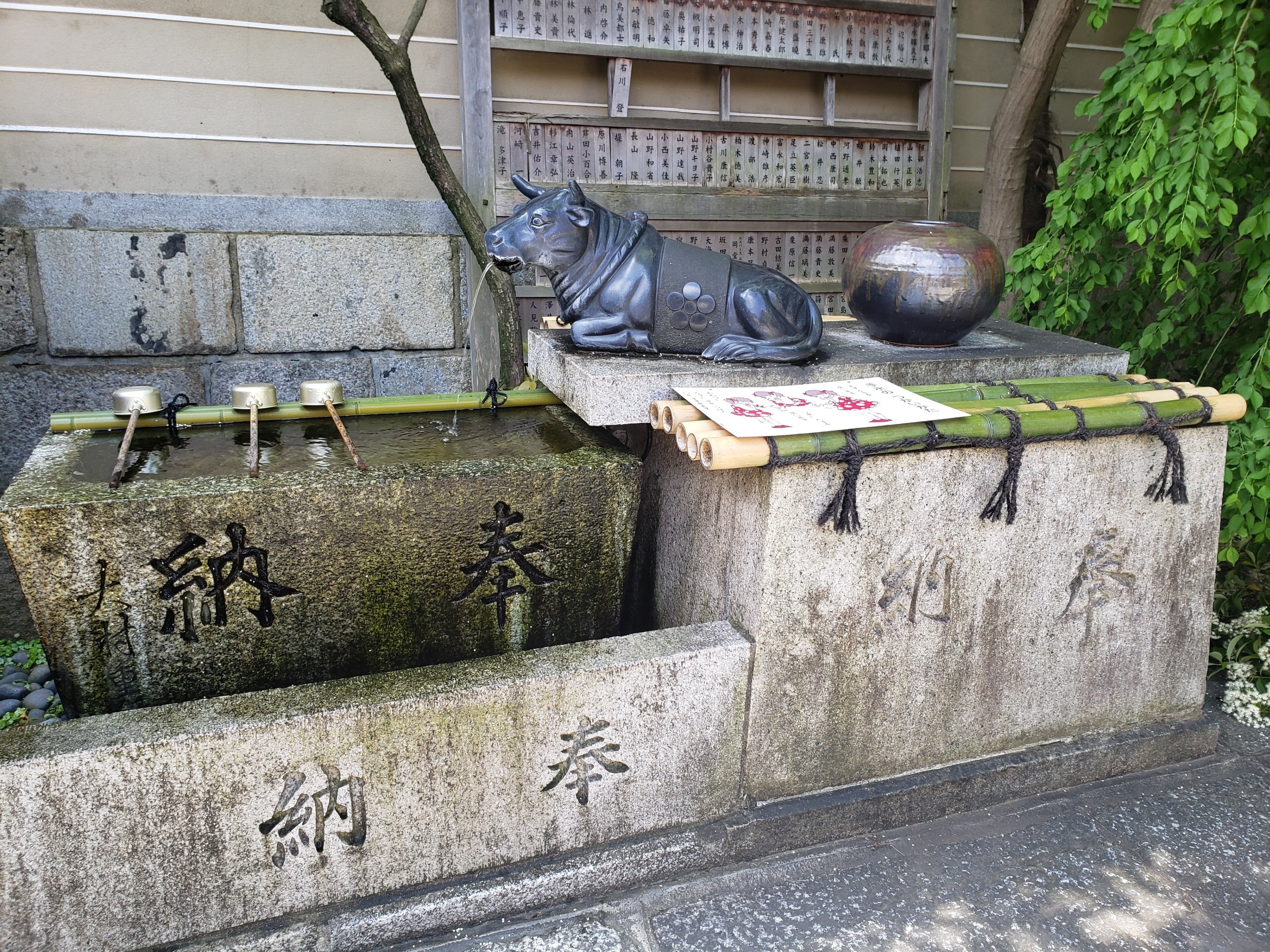 京都へ行こう❣️【254】｜ひばりん