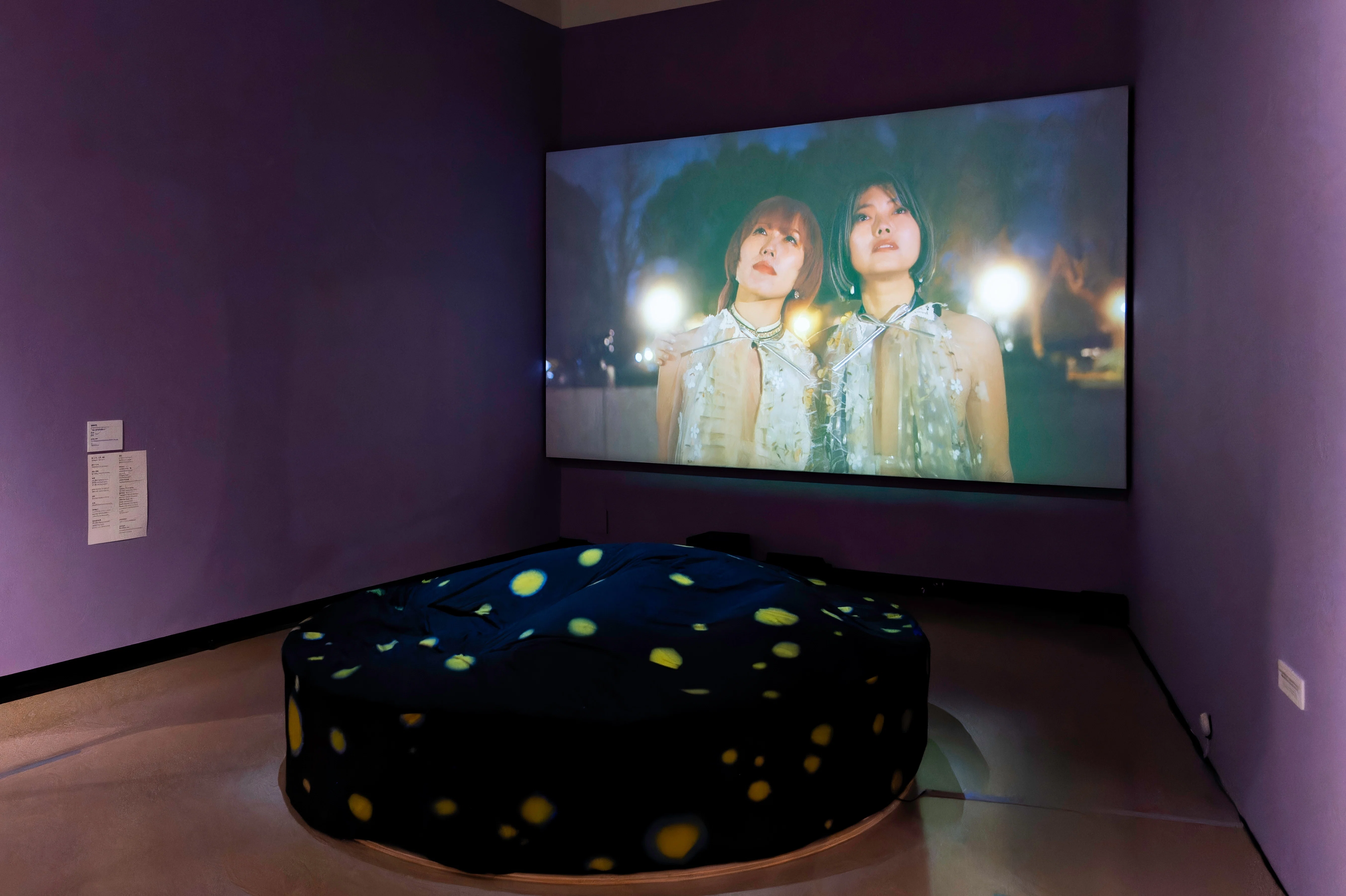 ここは未来のアーティストたちが眠る部屋となりえてきたか？ ―国立西洋