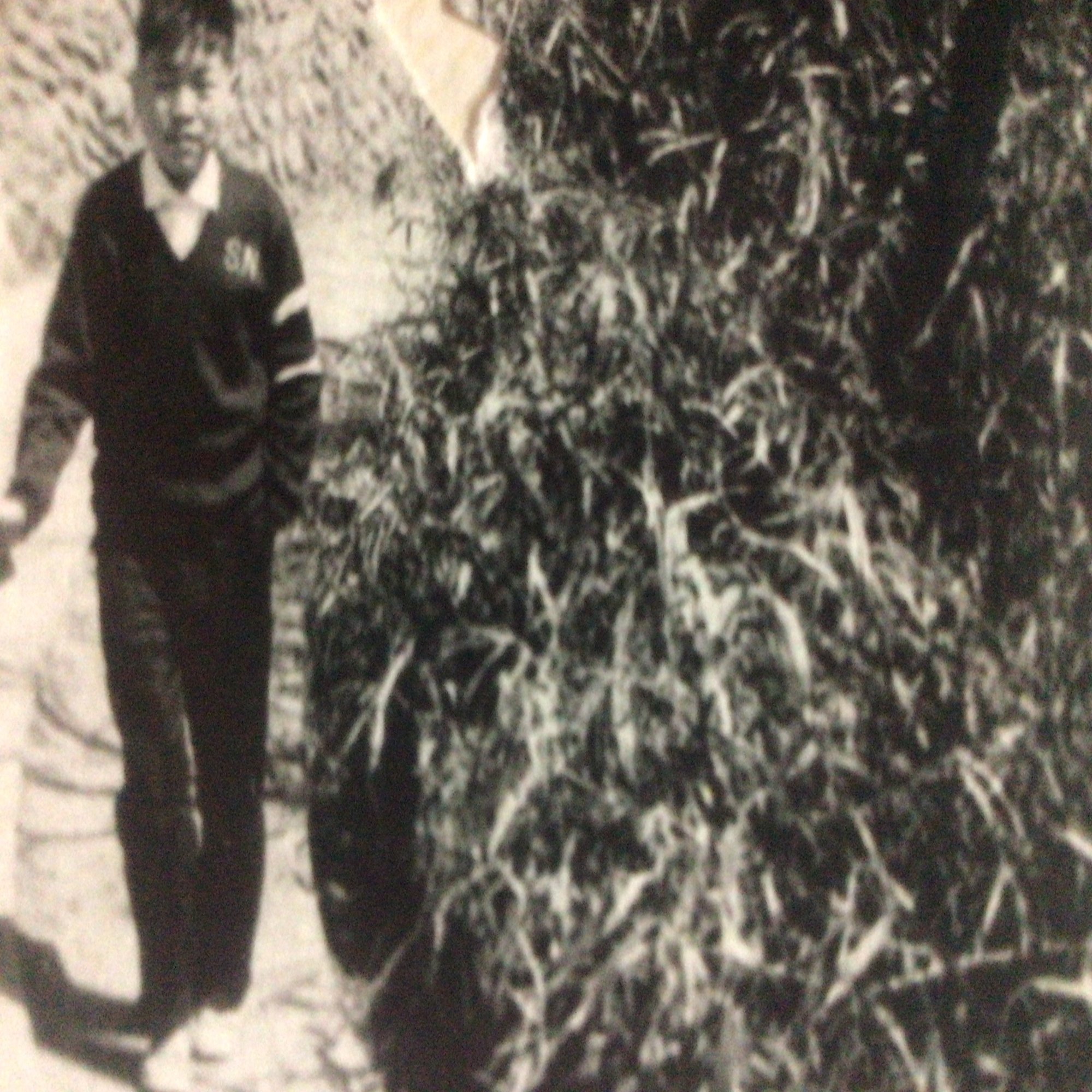 浅草ニュートリノ』 by 悟行（サトピーって読んでネ）｜sato-p1