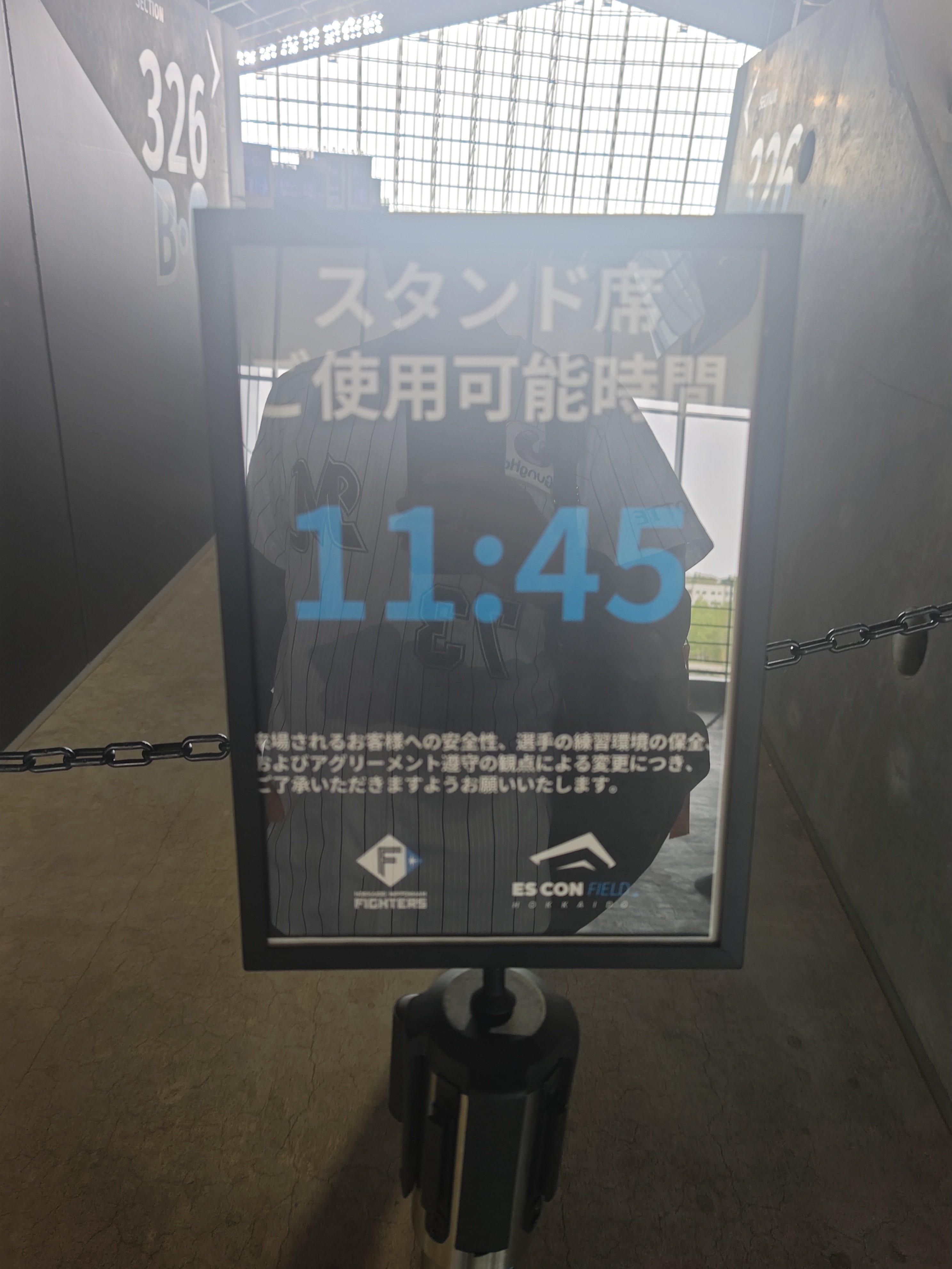 6月10日(土)駐車券付 前方通路側2枚】STAR REVEL 三塁ビジター