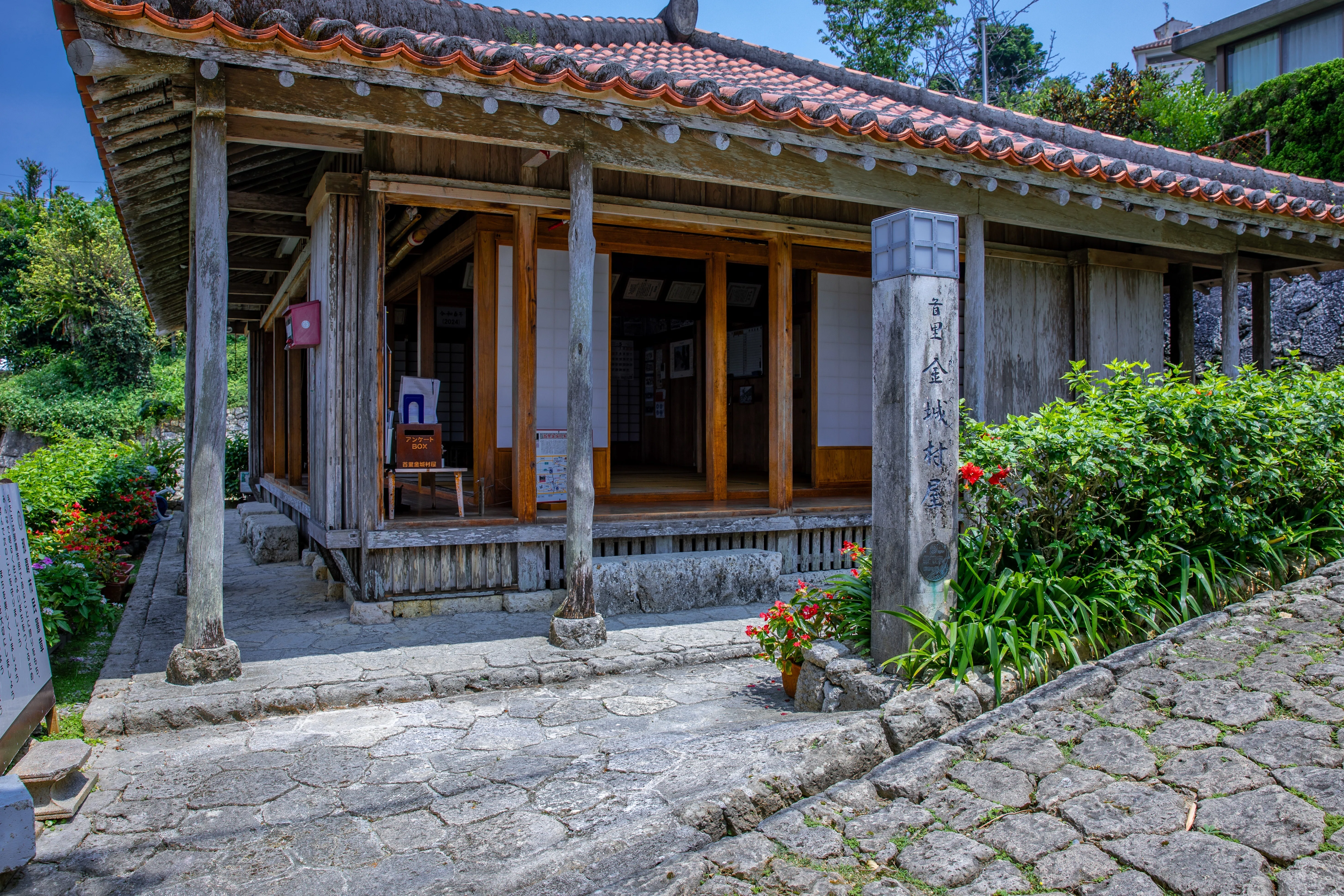 首里金城町の大アカギ｜Zenpaku