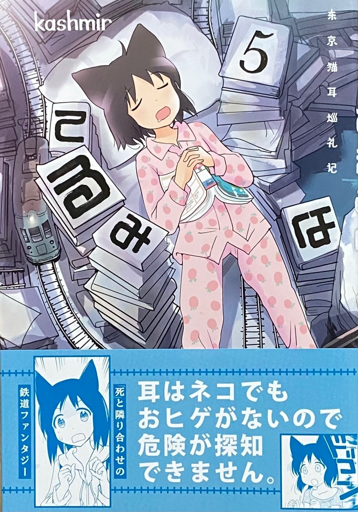 Kashmir 『てるみな 5』 ： 日常のなかの異界へ｜年間読書人