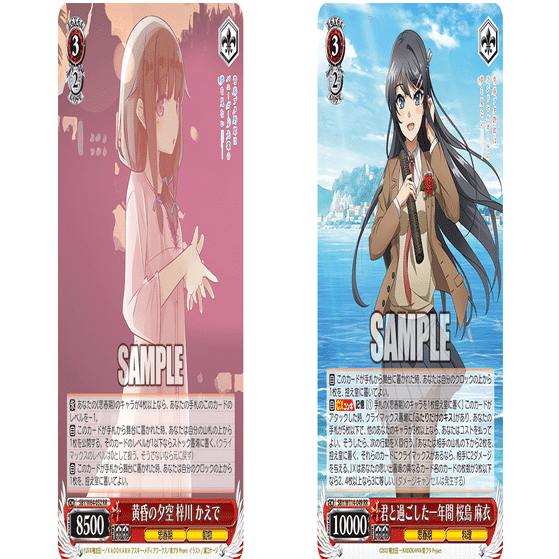 これを読めばわかる！8扉青ブタを徹底解説｜浅生なつめ