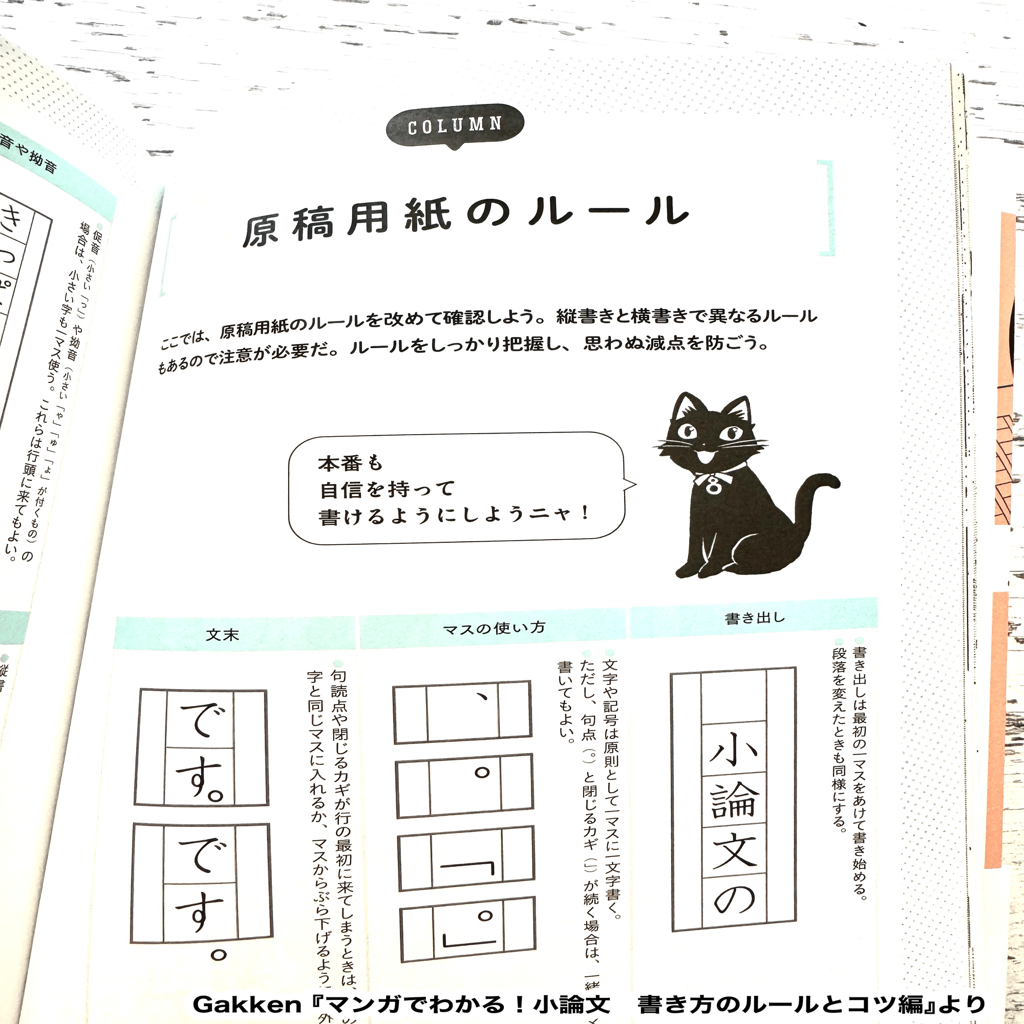お仕事】マンガでわかる!小論文 書き方のルールとコツ編｜おおつきべるの