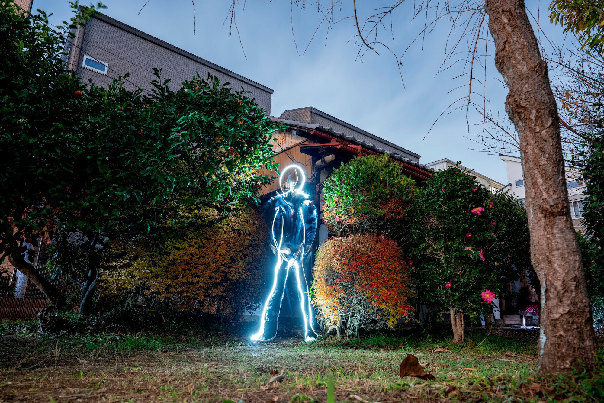 個展 2024】「喫茶芸術領域構築」展 vol.15 浅見俊哉 ＠埼玉県上尾市