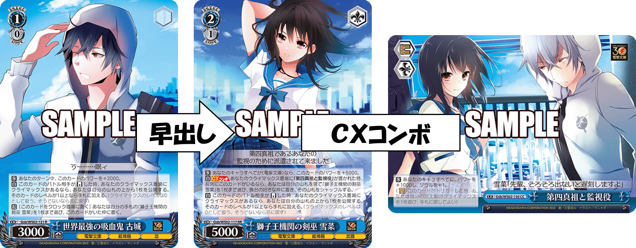 【PSA10】ヴァイスシュヴァルツ　聖槍の担い手　獅子王　SP　サイン ヴァイスシュヴァルツ FGO 聖槍の担い手獅子王 SP サイン入り 【公式