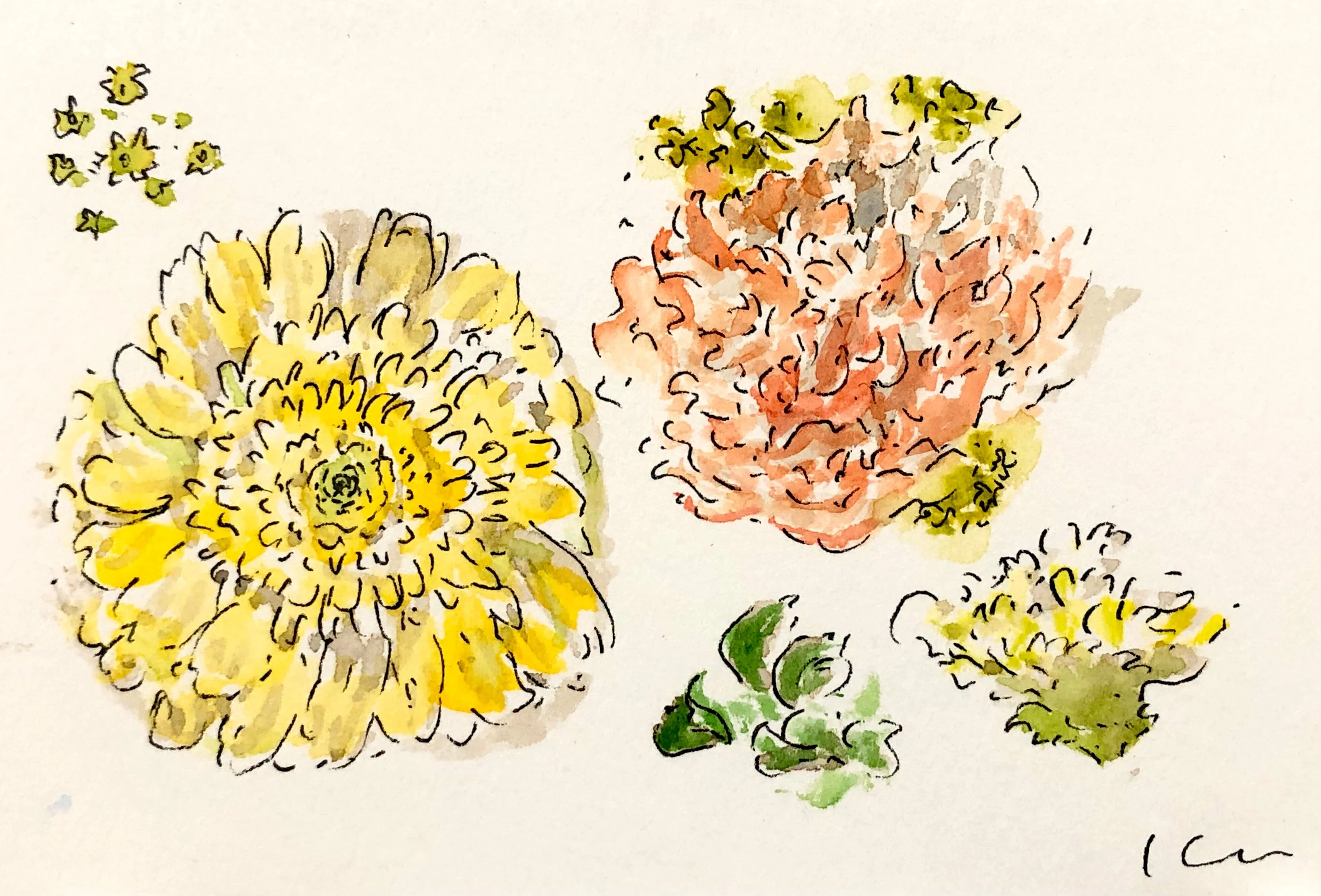 母の日のケーキとお花、お洒落カフェで食べたものを描いてみた