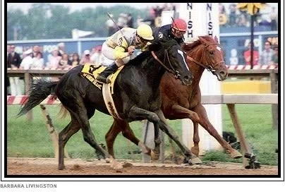 １９８５）サンデーサイレンス (Sunday Silence)写真額　競馬関係 サンデーサイレンス - Wikipedia