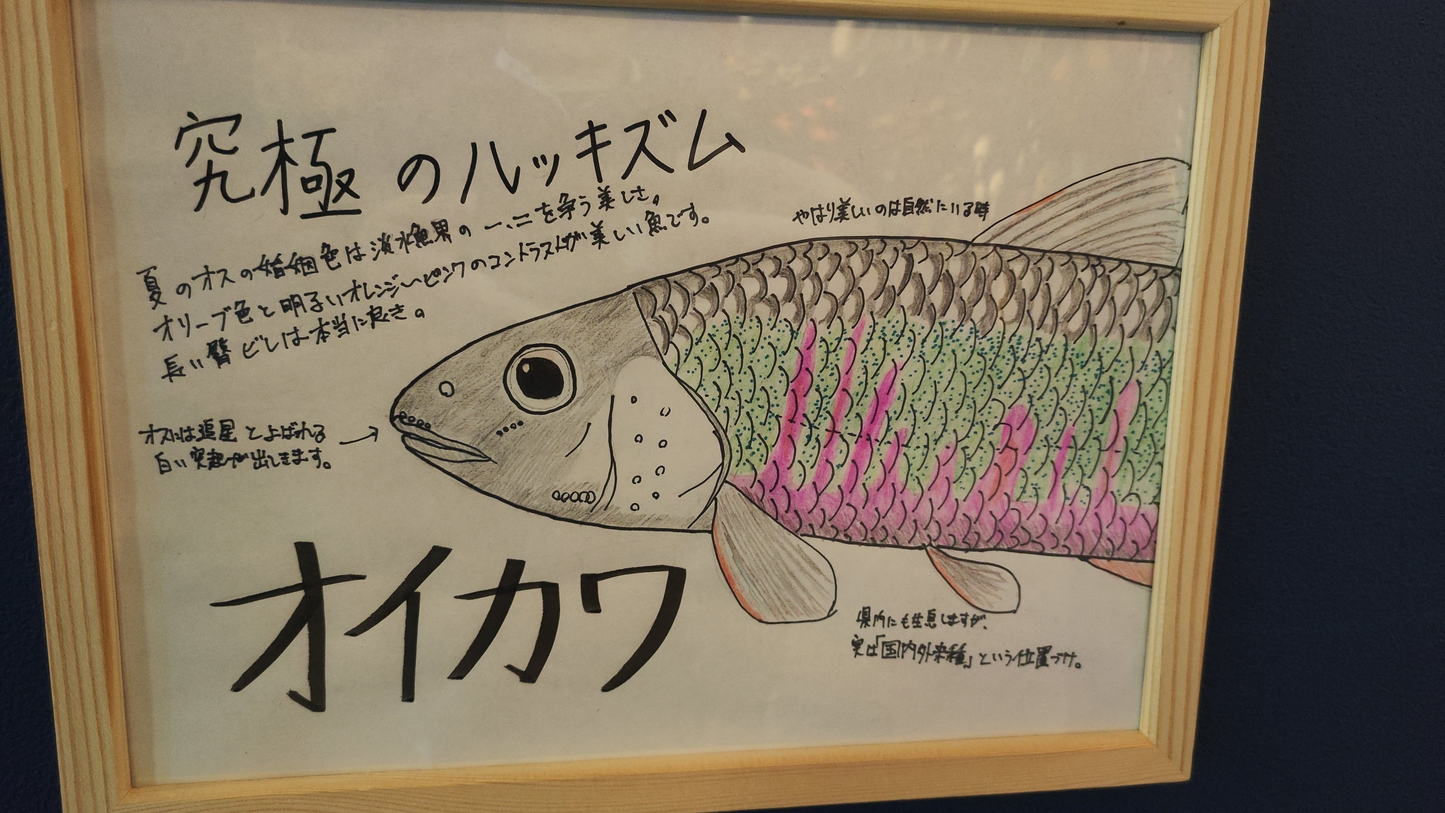 水族館】【博物館】地下水族科学館 石油文化ホール もぐらんぴあ｜もんばん