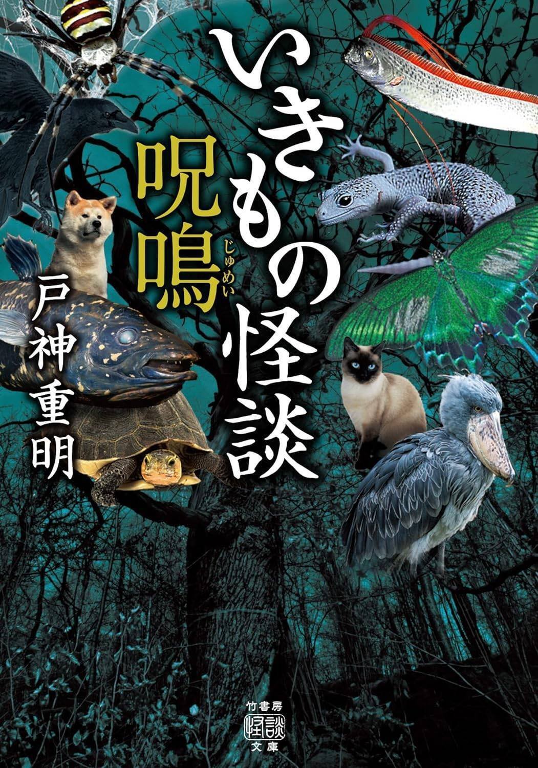 恐怖に沼る!里(人間)と沼(自然異界)の恐怖譚『里沼怪談 恐怖に沼る!里(人間)と沼(自然異界)の恐怖譚『里沼怪談