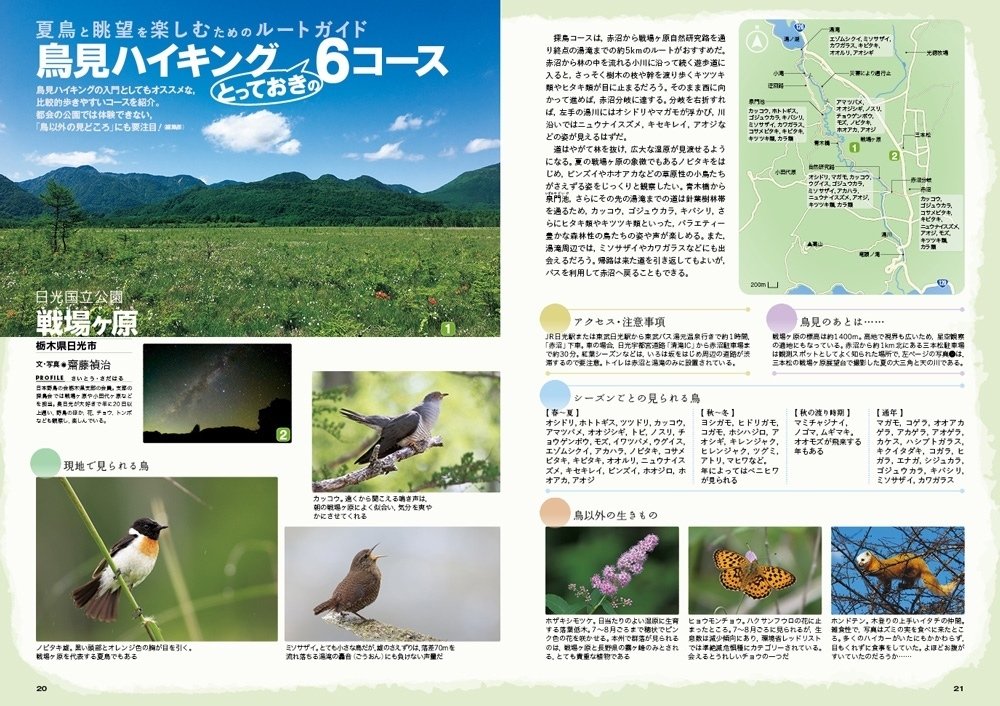 プロフィールご一読くださいページ みどり＊プロフィール一読ください しぃ(プロフご一読下さい)様