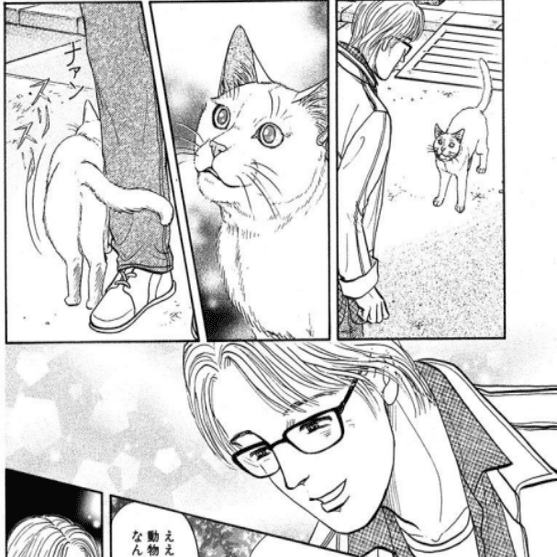 あかりとシロの心霊夜話 -猫好きまっしぐら-｜@Chihiro