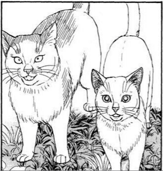 あかりとシロの心霊夜話 (全2巻) Kindle版