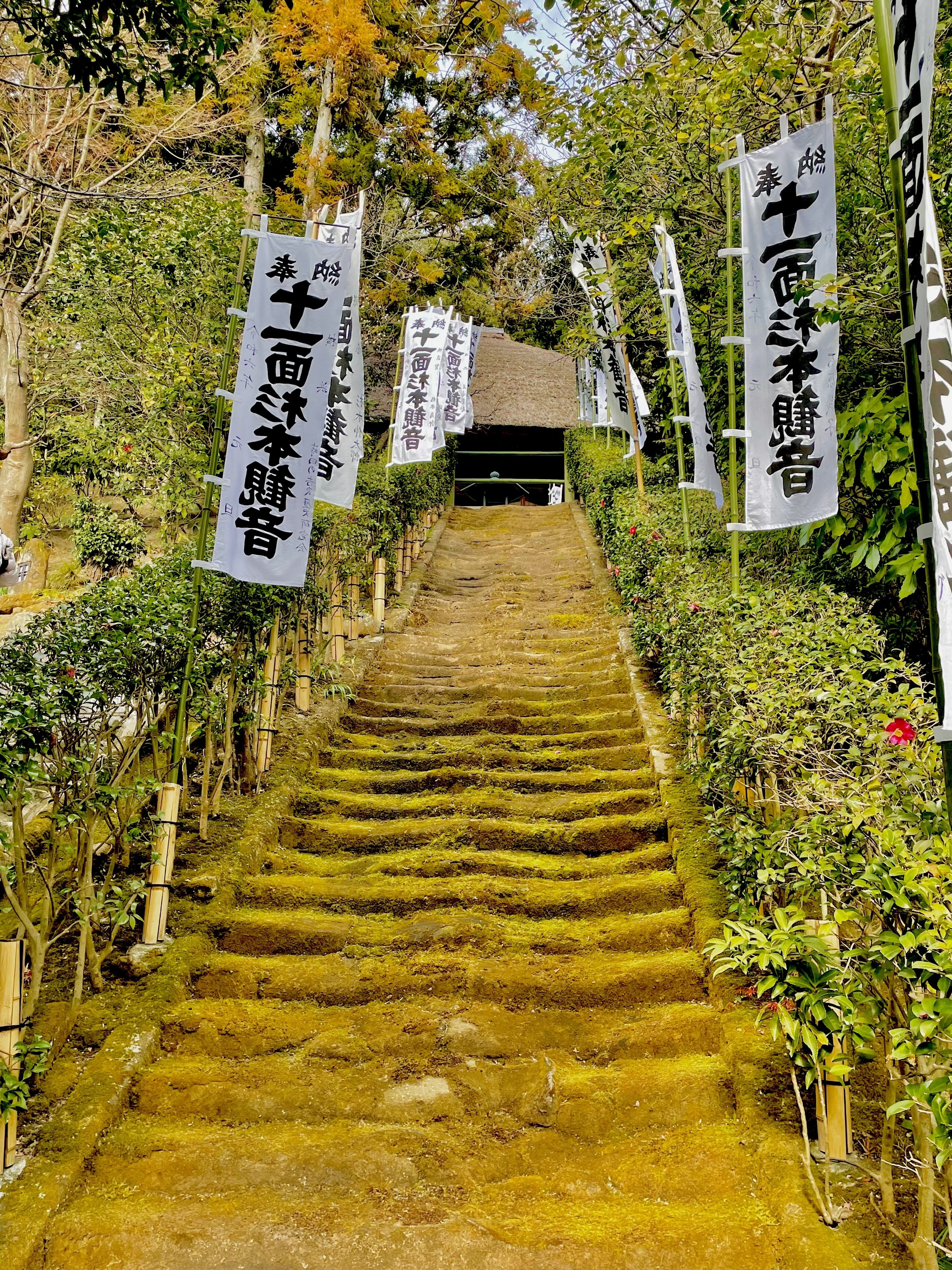 鎌倉 杉本寺 鎌倉最古のお寺で波動を上げる｜AKANE