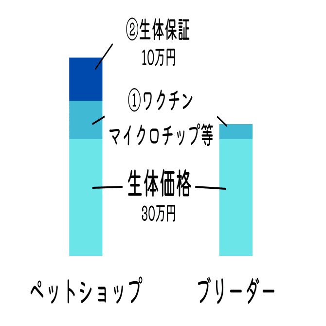 業界の裏側から語る】ブリーダーとペットショップどっちが安いのか、健康なのか。｜ペットの実家＠優良ブリーダー直販