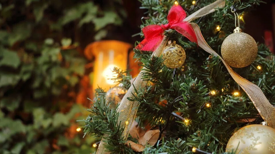 あざやかなクリスマスツリー』～信仰と祝福の樹～リテラ探求学習研究