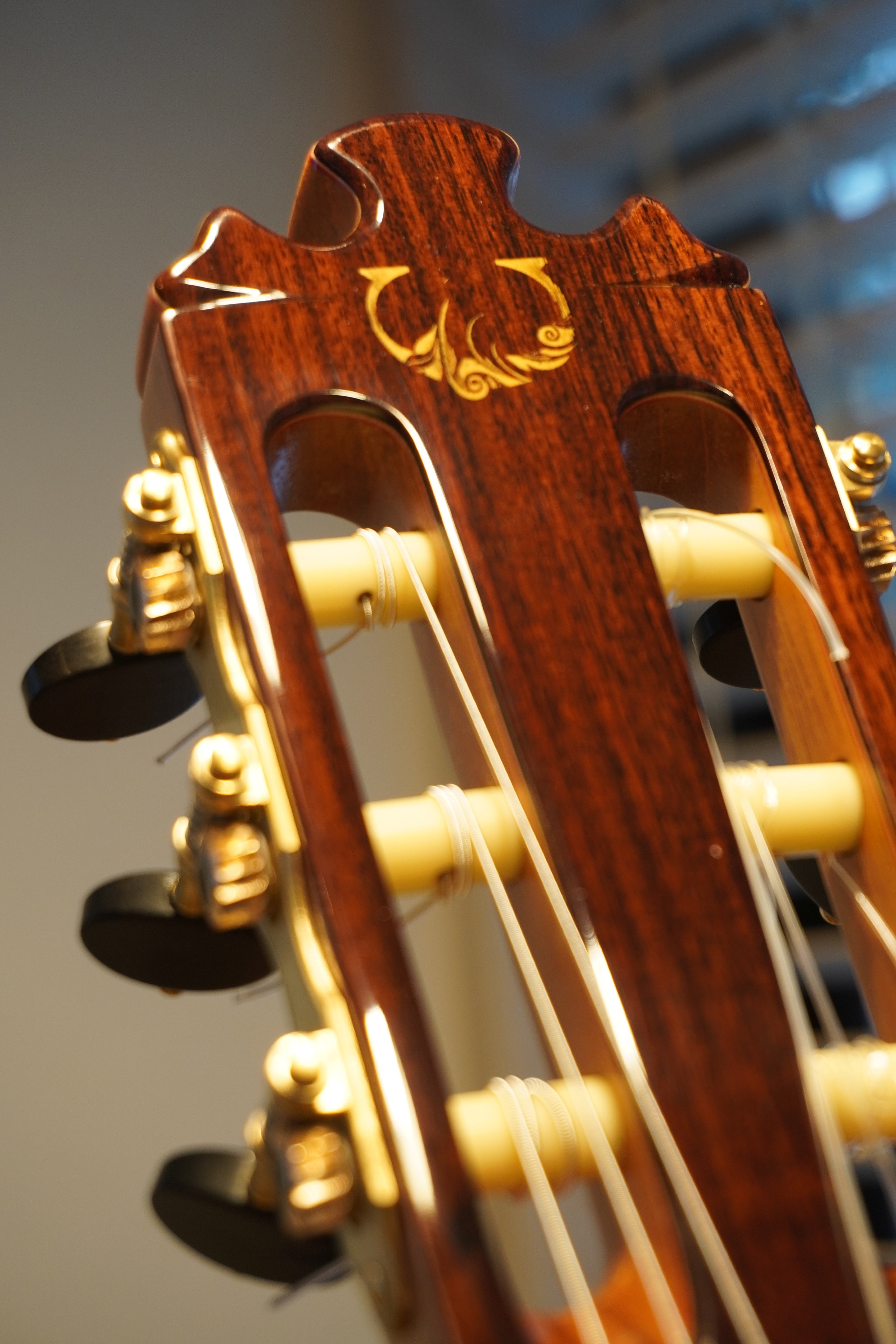 Vicente Carillo カニサレスモデル スペシャル ネグラ