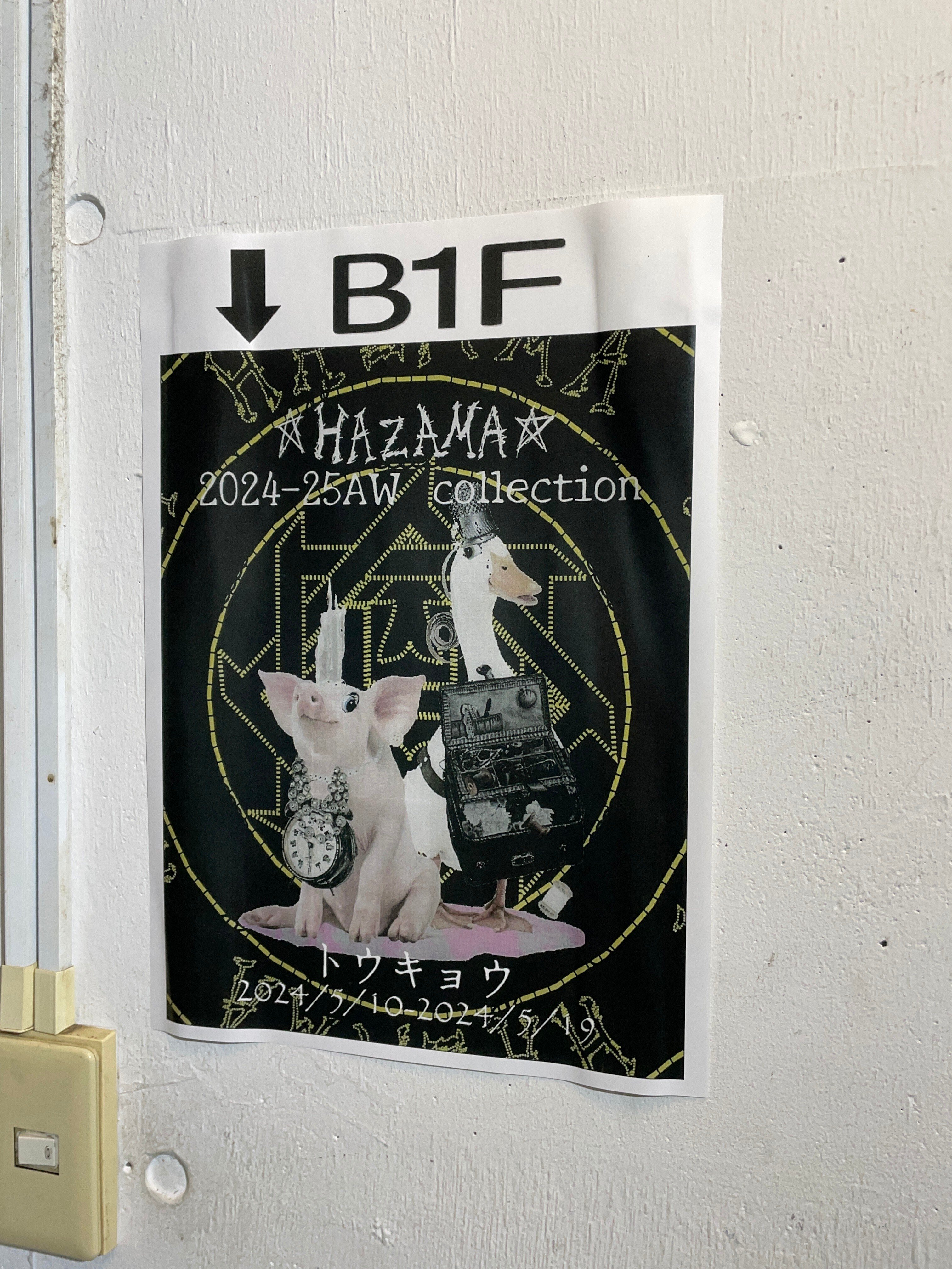 ha | za | ma 2024-25AW collection!|株式会社コロン ha | za | ma 2024-25AW collection!|株式会社コロン