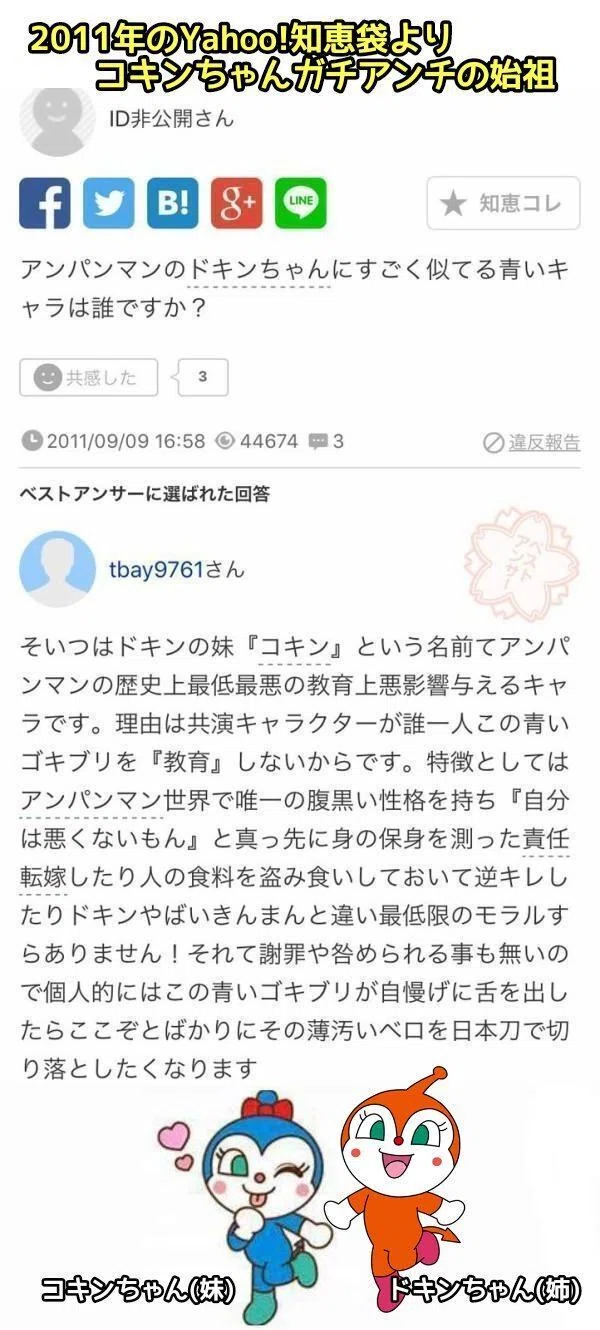 コキン ちゃん 人気 理由